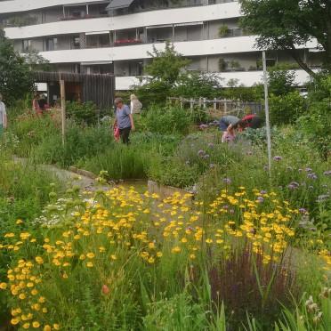 Mithilfe vieler StadtAcker-Aktiver wird der Komposttee am zweiten Erdfest-Tag mit dem Gießwasser im ganzen Garten ausgebracht.